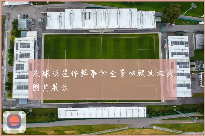 足球明星作弊事件全景回顾及相关图片展示