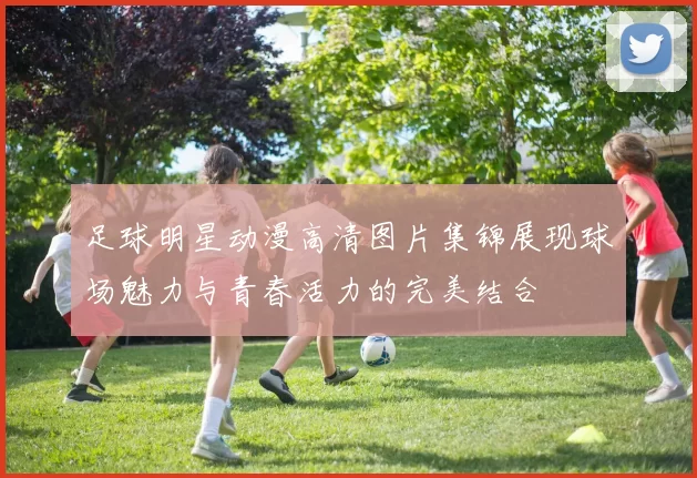 足球明星动漫高清图片集锦展现球场魅力与青春活力的完美结合