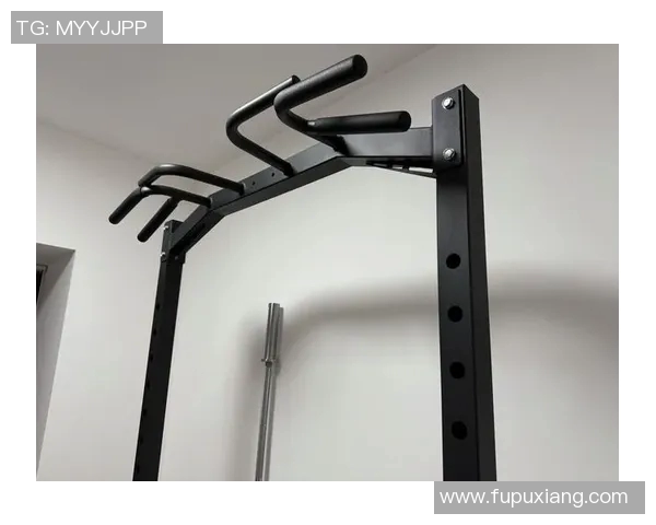 简单有效健身器材推荐打造基础家庭健身房