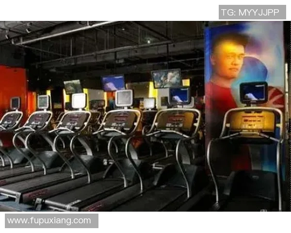 进口健身器材星驰品牌在国内市场的发展路径